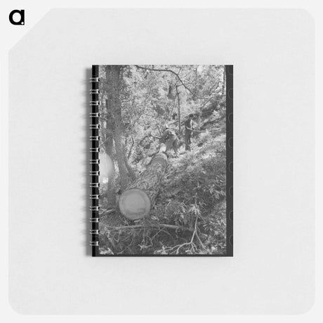 アートメモ帳-Felled Tree Logs
 - ラッセル リー Memo.