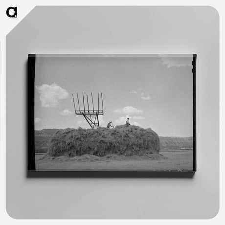 アートパネル-Hay Stacker and Haystack
 - ラッセル リー Canvas.