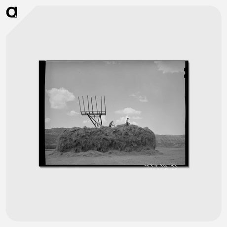 アートポストカード-Hay Stacker and Haystack
 - ラッセル リー Postcard.