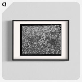 アートポスター-Volcanic Soil Grass
 - ラッセル リー Poster.