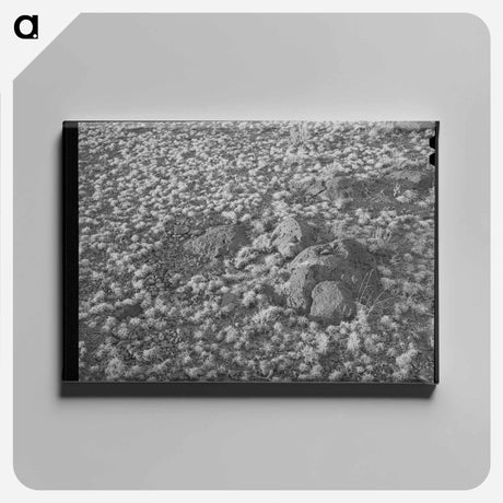 アートパネル-Volcanic Soil Grass
 - ラッセル リー Canvas.