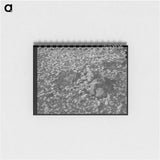 アートメモ帳-Volcanic Soil Grass
 - ラッセル リー Memo.
