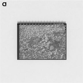 アートメモ帳-Volcanic Soil Grass
 - ラッセル リー Memo.