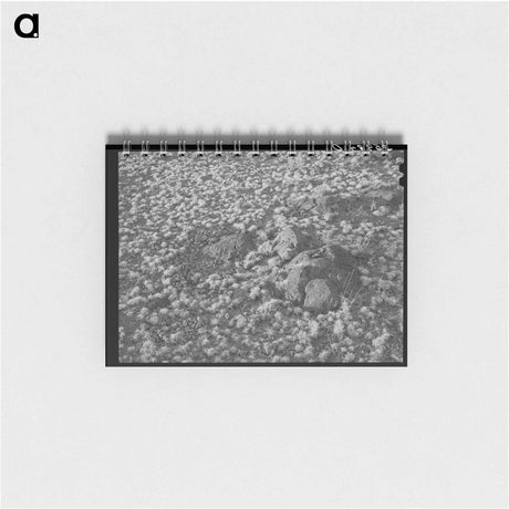 アートメモ帳-Volcanic Soil Grass
 - ラッセル リー Memo.