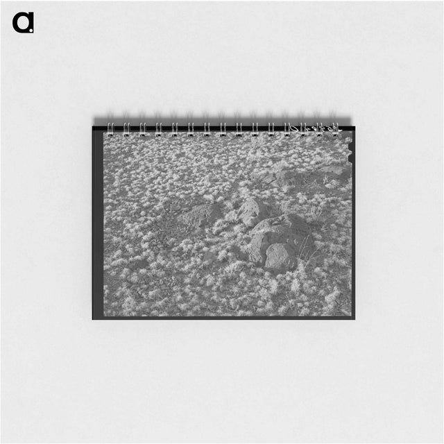 アートメモ帳-Volcanic Soil Grass
 - ラッセル リー Memo.