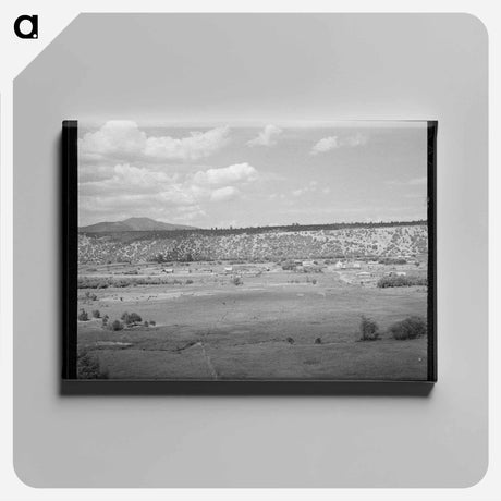 アートパネル-Rodarte, New Mexico
 - ラッセル リー Canvas.