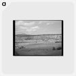 アートポストカード-Rodarte, New Mexico
 - ラッセル リー Postcard.