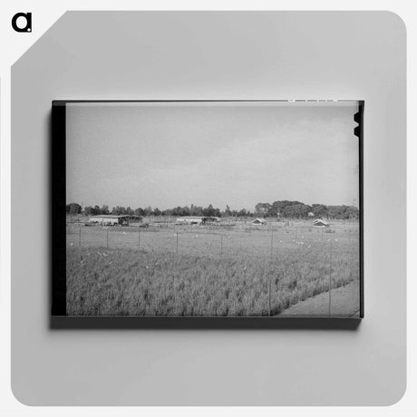 アートパネル-Arizona Chicken Yard
 - ラッセル リー Canvas.