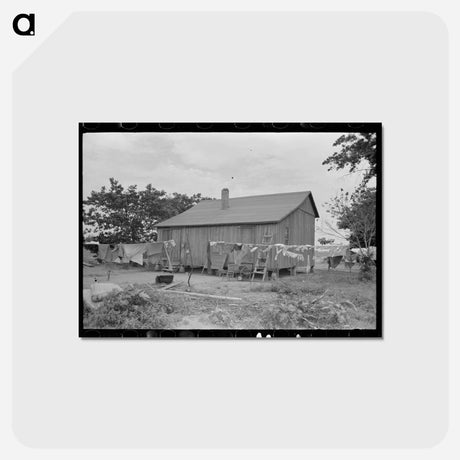 アートポストカード-Old Cabin, Southeast Missouri
 - ラッセル リー Postcard.