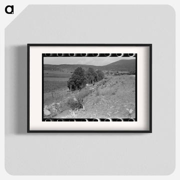 Cows Grazing Along Irrigation Ditch
 - ラッセル リー Poster.