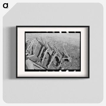 Cultivators of Placer County
 - ラッセル リー Poster.