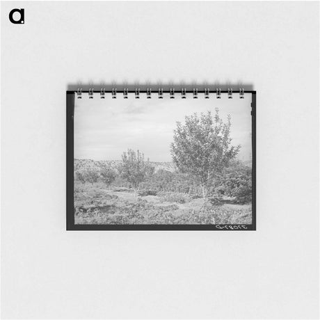 アートメモ帳-Orchard, Dixon, New Mexico
 - ラッセル リー Memo.