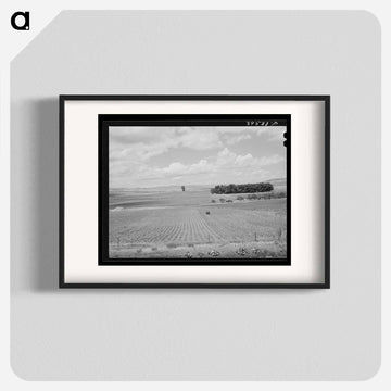 Corn Field, Canyon County
 - ラッセル リー Poster.