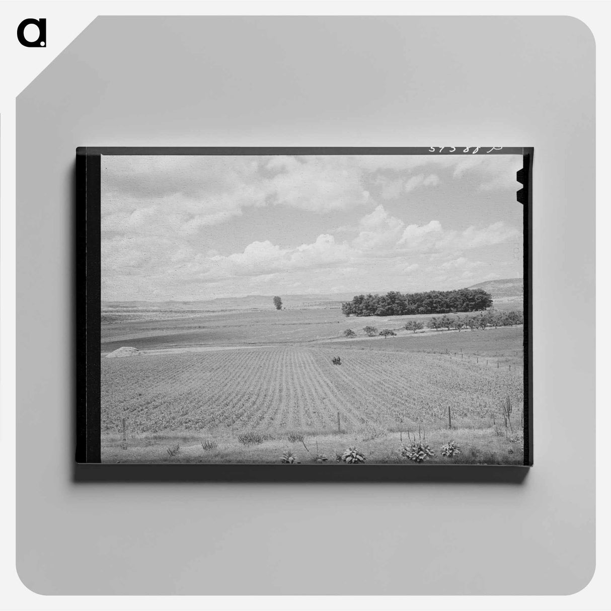 アートパネル-Corn Field, Canyon County
 - ラッセル リー Canvas.