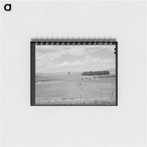 アートメモ帳-Corn Field, Canyon County
 - ラッセル リー Memo.