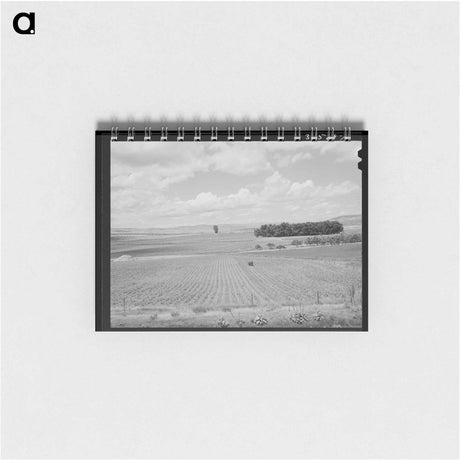 アートメモ帳-Corn Field, Canyon County
 - ラッセル リー Memo.