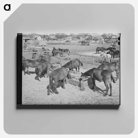 アートパネル-Mules Feeding in Sale Lot
 - ラッセル リー Canvas.
