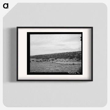 The Candelarias
 - ラッセル リー Poster.