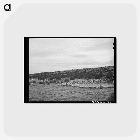 アートポストカード-The Candelarias
 - ラッセル リー Postcard.