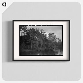 アートポスター-Bayou Trees and Moss
 - ラッセル リー Poster.