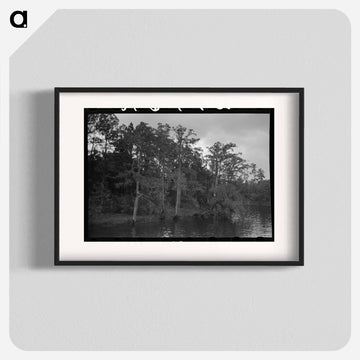 Bayou Trees and Moss
 - ラッセル リー Poster.