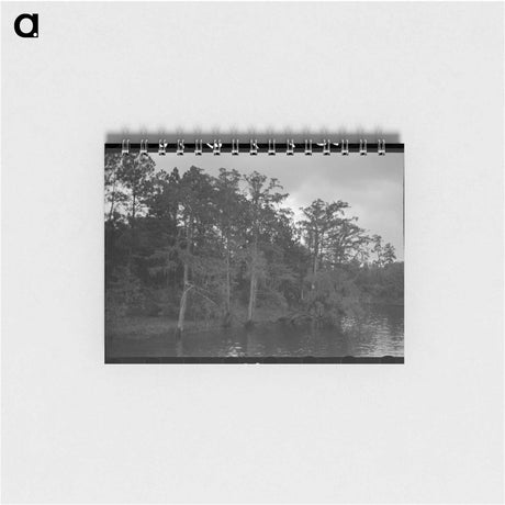 アートメモ帳-Bayou Trees and Moss
 - ラッセル リー Memo.
