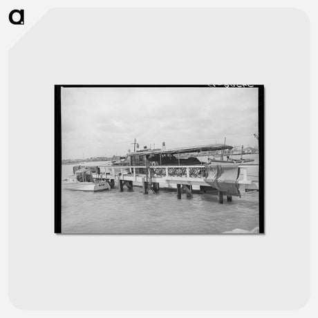 アートポストカード-Yacht at Corpus Christi
 - ラッセル リー Postcard.