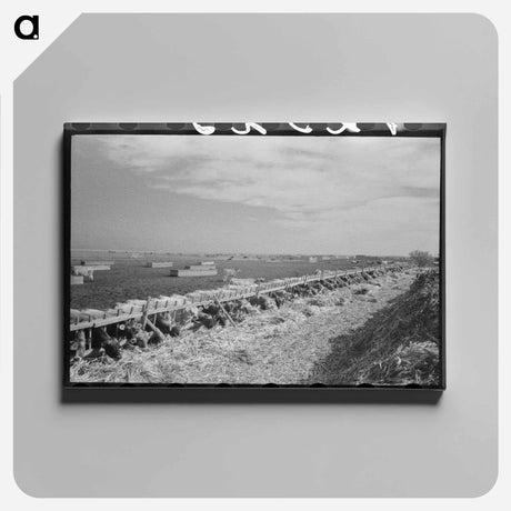 アートパネル-Mass Feeding of Cows
 - ラッセル リー Canvas.