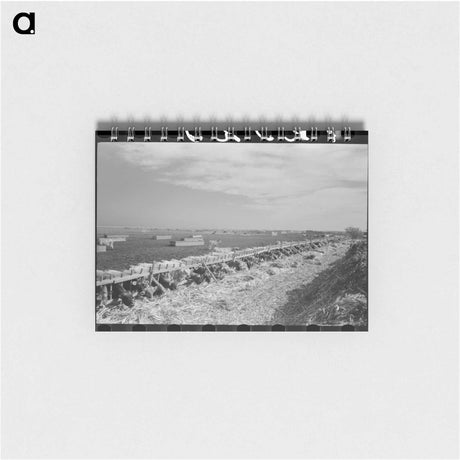 アートメモ帳-Mass Feeding of Cows
 - ラッセル リー Memo.