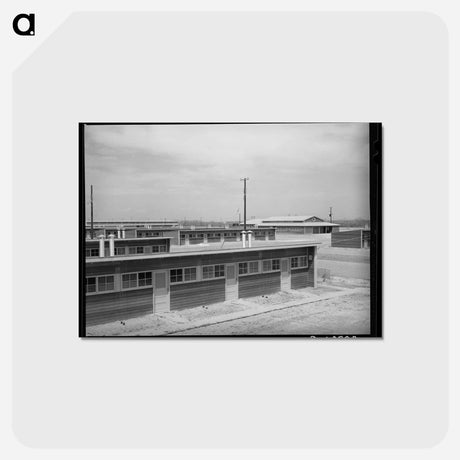 アートポストカード-Migratory Labor Camp Shelters
 - ラッセル リー Postcard.