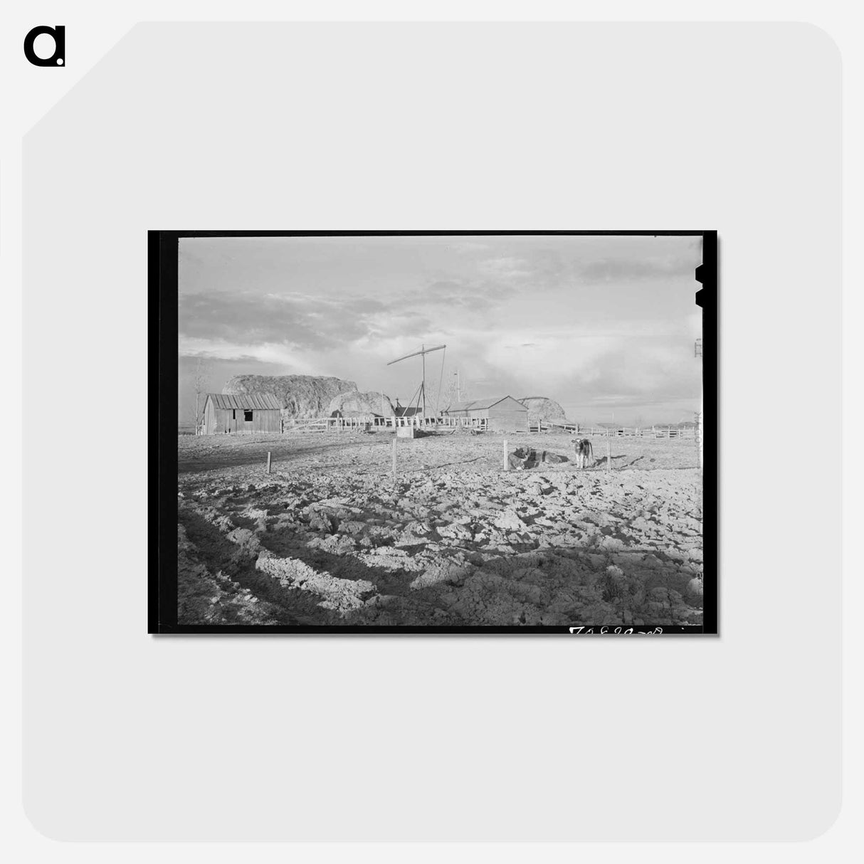 アートポストカード-Farmyard, Black Canyon Project
 - ラッセル リー Postcard.