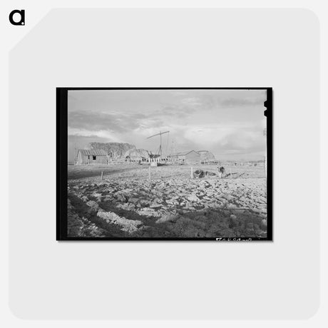 アートポストカード-Farmyard, Black Canyon Project
 - ラッセル リー Postcard.