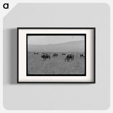 Yearlings. Cruzen Ranch, Valley County, Idaho
 - ラッセル リー Poster.