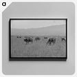 アートパネル-Yearlings. Cruzen Ranch, Valley County, Idaho
 - ラッセル リー Canvas.