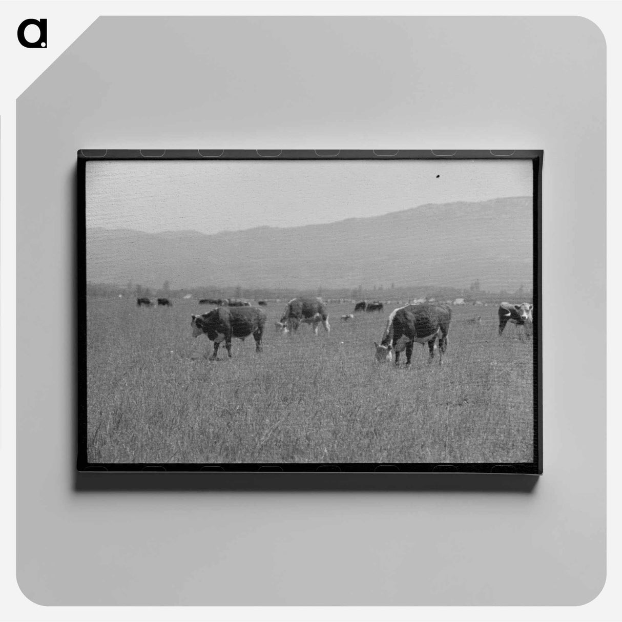 アートパネル-Yearlings. Cruzen Ranch, Valley County, Idaho
 - ラッセル リー Canvas.