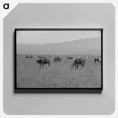 アートパネル-Yearlings. Cruzen Ranch, Valley County, Idaho
 - ラッセル リー Canvas.
