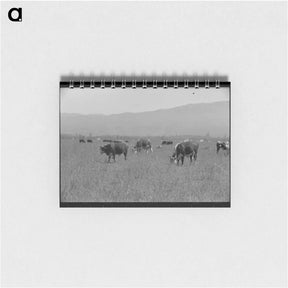 アートメモ帳-Yearlings. Cruzen Ranch, Valley County, Idaho
 - ラッセル リー Memo.