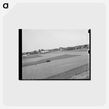 アートポストカード-Cutting Alfalfa, Oklahoma
 - ラッセル リー Postcard.