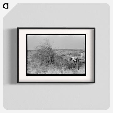 Burning Mesquite, El Indio
 - ラッセル リー Poster.