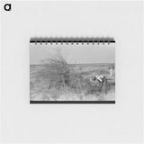 アートメモ帳-Burning Mesquite, El Indio
 - ラッセル リー Memo.