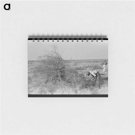 アートメモ帳-Burning Mesquite, El Indio
 - ラッセル リー Memo.