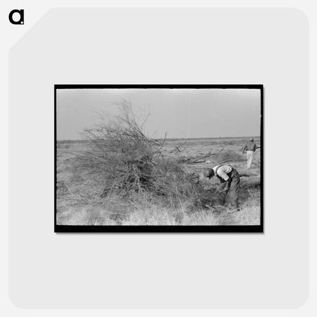 アートポストカード-Burning Mesquite, El Indio
 - ラッセル リー Postcard.