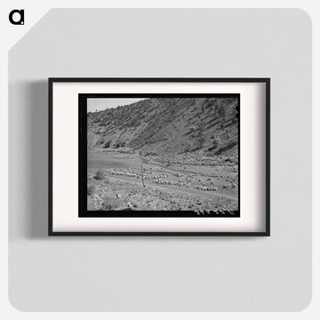 Sheep on the Range
 - ラッセル リー Poster.