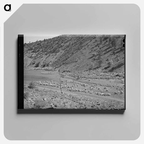 アートパネル-Sheep on the Range
 - ラッセル リー Canvas.