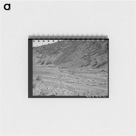 アートメモ帳-Sheep on the Range
 - ラッセル リー Memo.