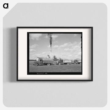 Sugar Beet Trucks
 - ラッセル リー Poster.