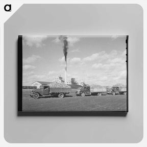 アートパネル-Sugar Beet Trucks
 - ラッセル リー Canvas.