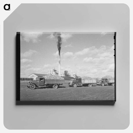 アートパネル-Sugar Beet Trucks
 - ラッセル リー Canvas.
