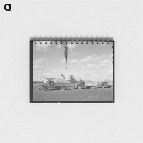 アートメモ帳-Sugar Beet Trucks
 - ラッセル リー Memo.