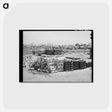 アートポストカード-United Producers Cooperative
 - ラッセル リー Postcard.